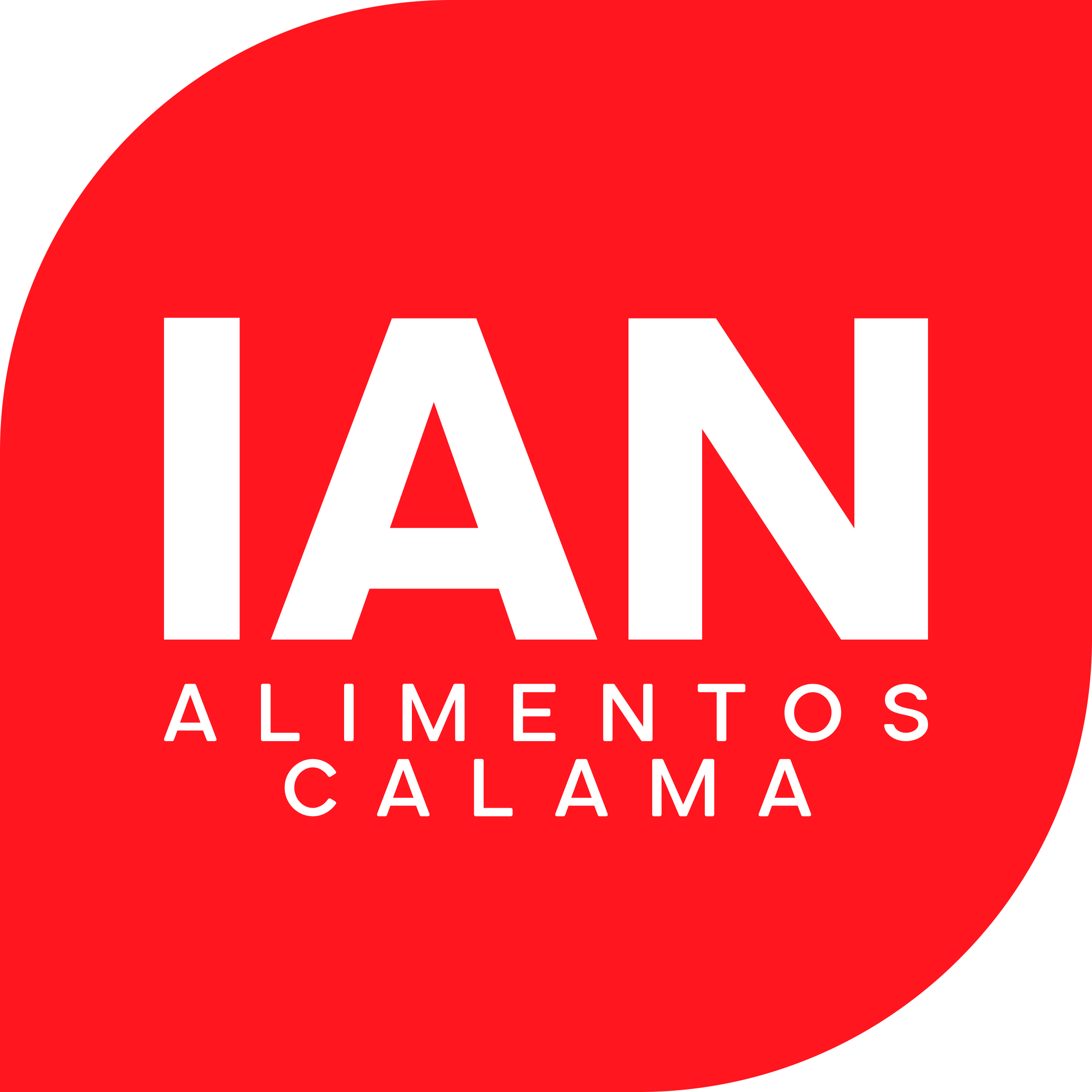 Ian Alimentos Calama